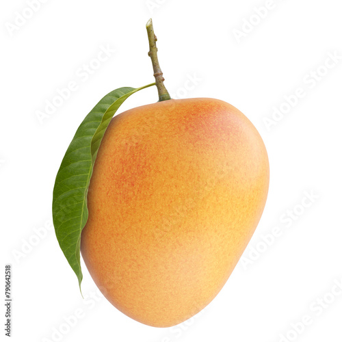 Alphonso mango with leaf and stem isolated white background