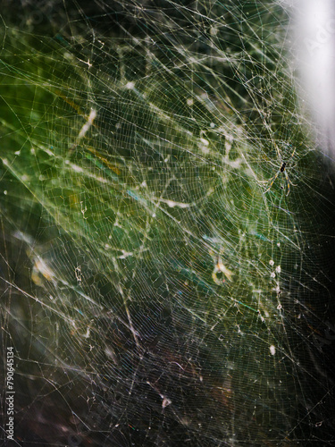 Layers of spider webs stacked in nature 