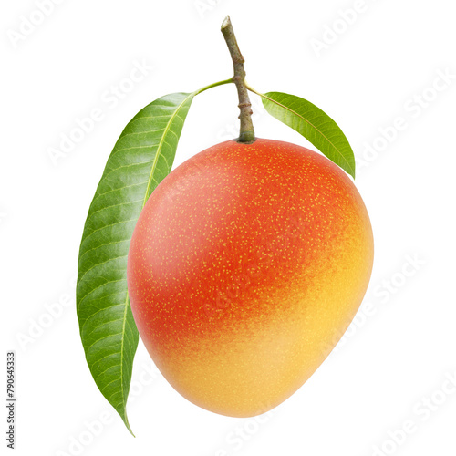 Fresh mango with stem and leaves isolated white background