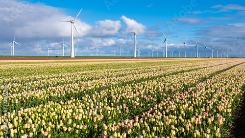 A vibrant field of tulips stretches out with elegant wind turbines spinning in the distance, capturing the essence of renewable energy and colorful nature #790651394