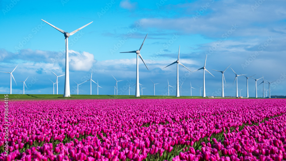 A vibrant field of tulips dances in the wind, with traditional windmills standing tall in the background against a clear blue sky