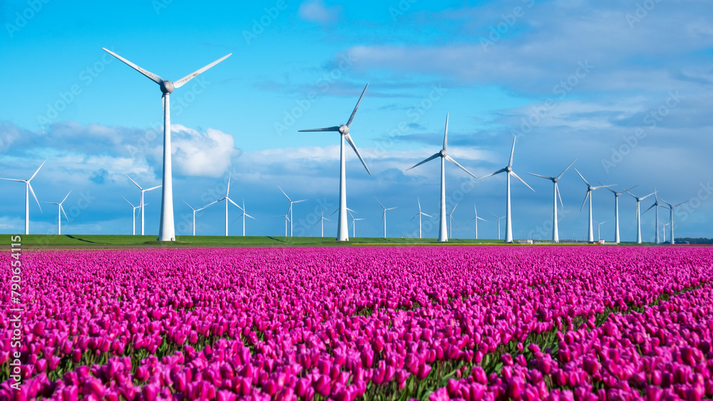 A vibrant field of tulips dances in the wind, with traditional windmills standing tall in the background against a clear blue sky A vibrant field of tulips dances in the wind, with traditional windmills standing tall in the background against a clear blue sky