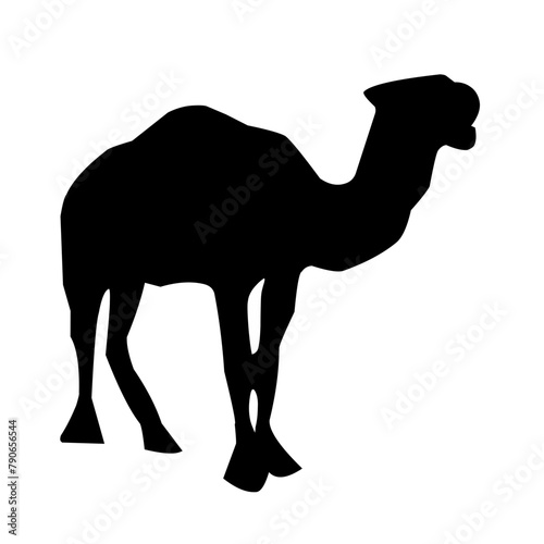 set of camel silhouette vector