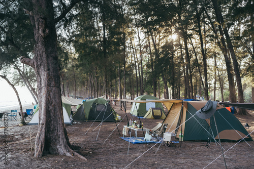 Tourist tent camping under the trees with sunset.