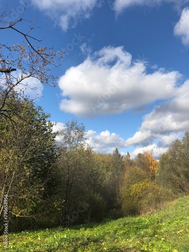 landscape with trees