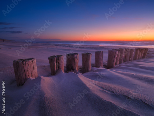 Seascape during sunrise. Logs in the sand. Bright sky during sunset. A sandy beach at low tide. Wallpaper and background.