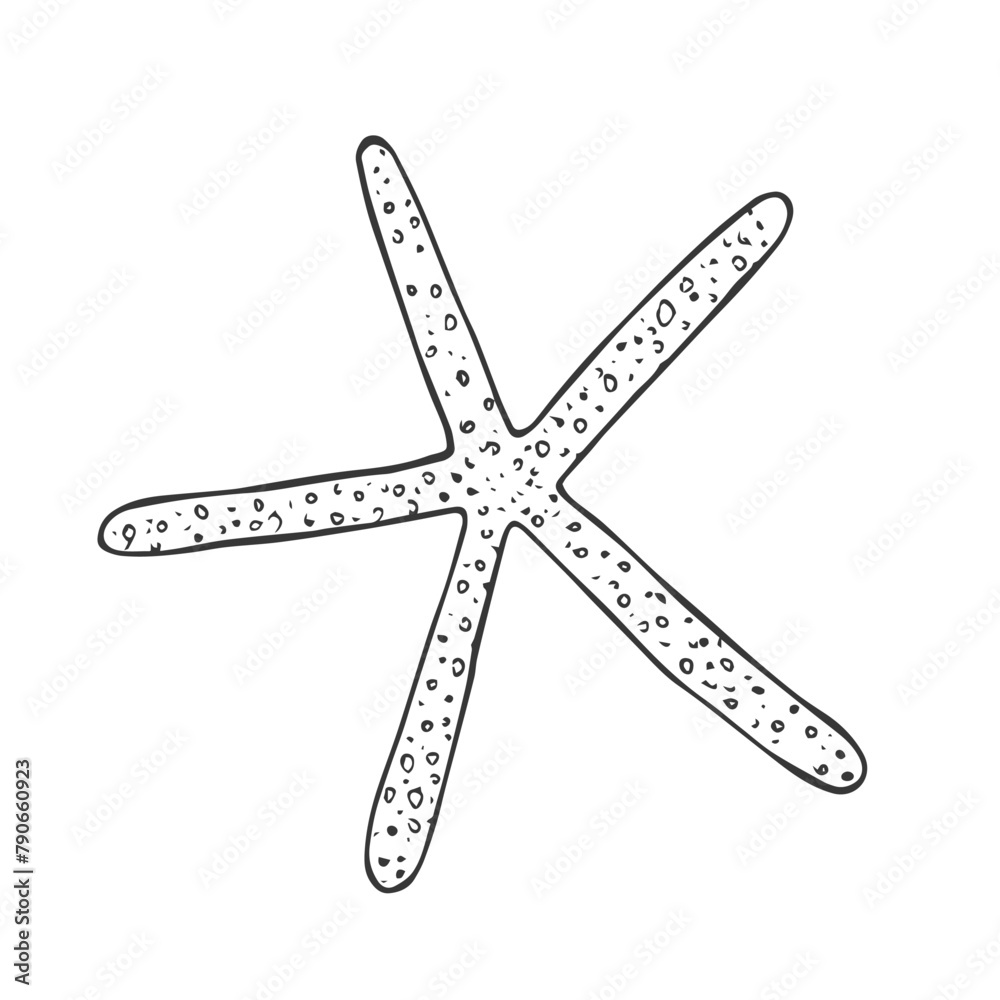 Doodle starfish, hand-drawn sea symbol. Five-finger organism painted by ink, pen. Line, minimalism. Simple sketchy icon. Isolated. - obrazy, fototapety, plakaty 