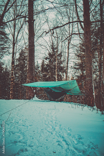 Winter Hammock Haven