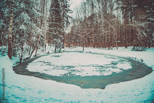 Frostbound Oasis