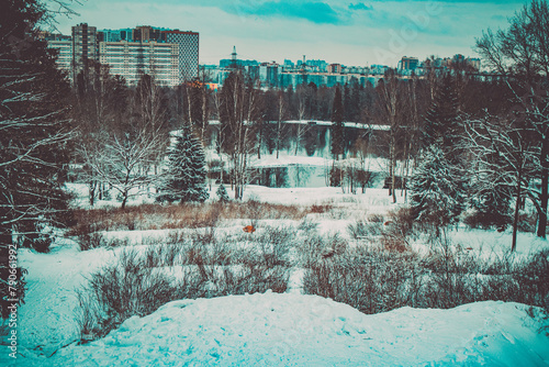 Metro Winter Vista