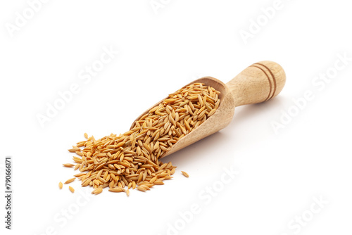 Front view of a wooden scoop filled with Organic Rice with Bran (Oryza sativa) or Dhaan. Isolated on a white background. photo
