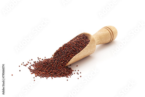 Front view of a wooden scoop filled with Organic Ragi (Eleusine coracana) or finger millet. Isolated on a white background.