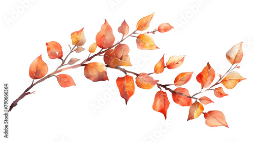 There is a watercolor painting of a branch with leaves with white background. autumn floral decoration deadwood.