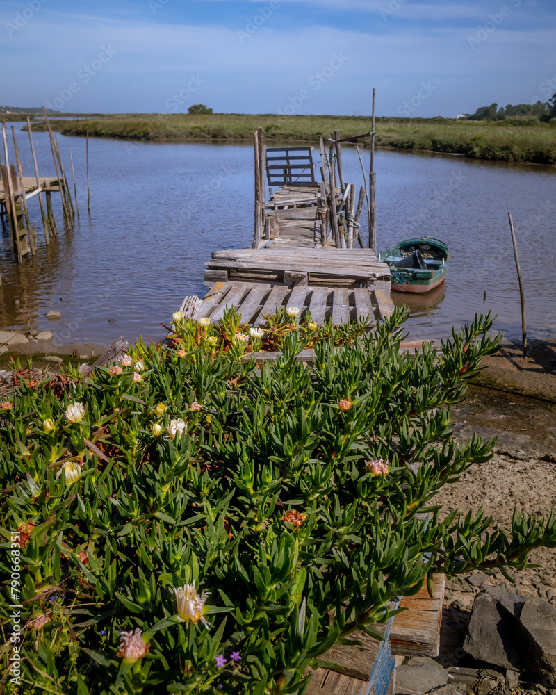 Fototapeta premium Comporta