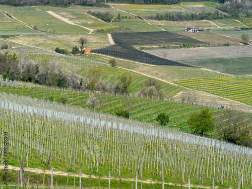 Amazing landscape of the vineyards of Langhe in Piemonte in Italy during spring time. The wine route. An Unesco World Heritage. Natural contest. Rows of vineyards