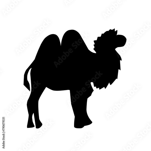 Camel illustration set on white background, vector, isolated,vector illustration.