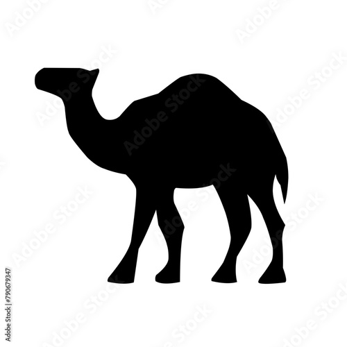 Camel illustration set on white background, vector, isolated,vector illustration.