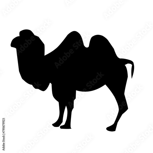 Camel illustration set on white background, vector, isolated,vector illustration.