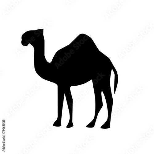 Camel illustration set on white background, vector, isolated,vector illustration.