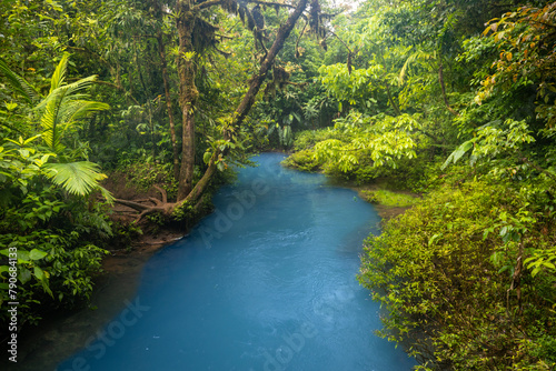 Obraz na plátně Blue river flowing through the rainforest, jungle on the banks of Rio Celeste in