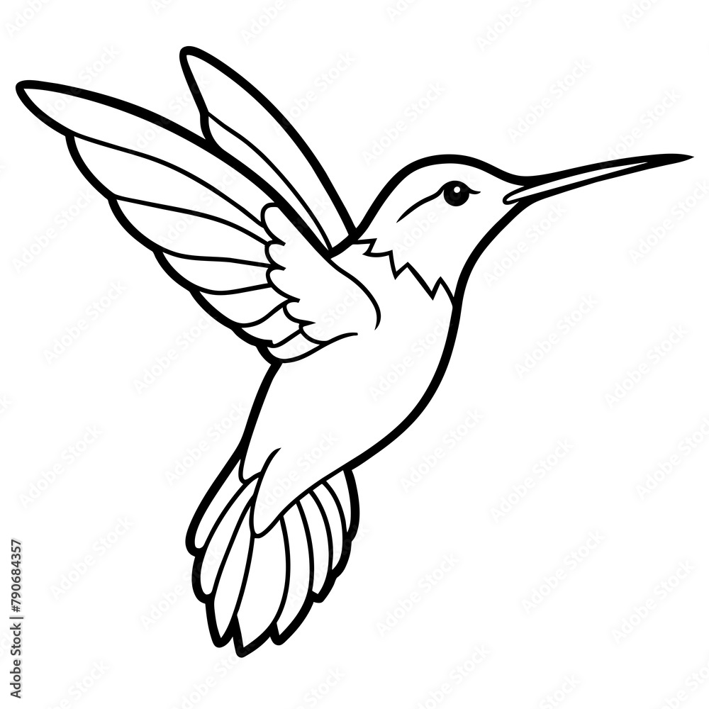 hummingbird in flight hummingbird in flight
