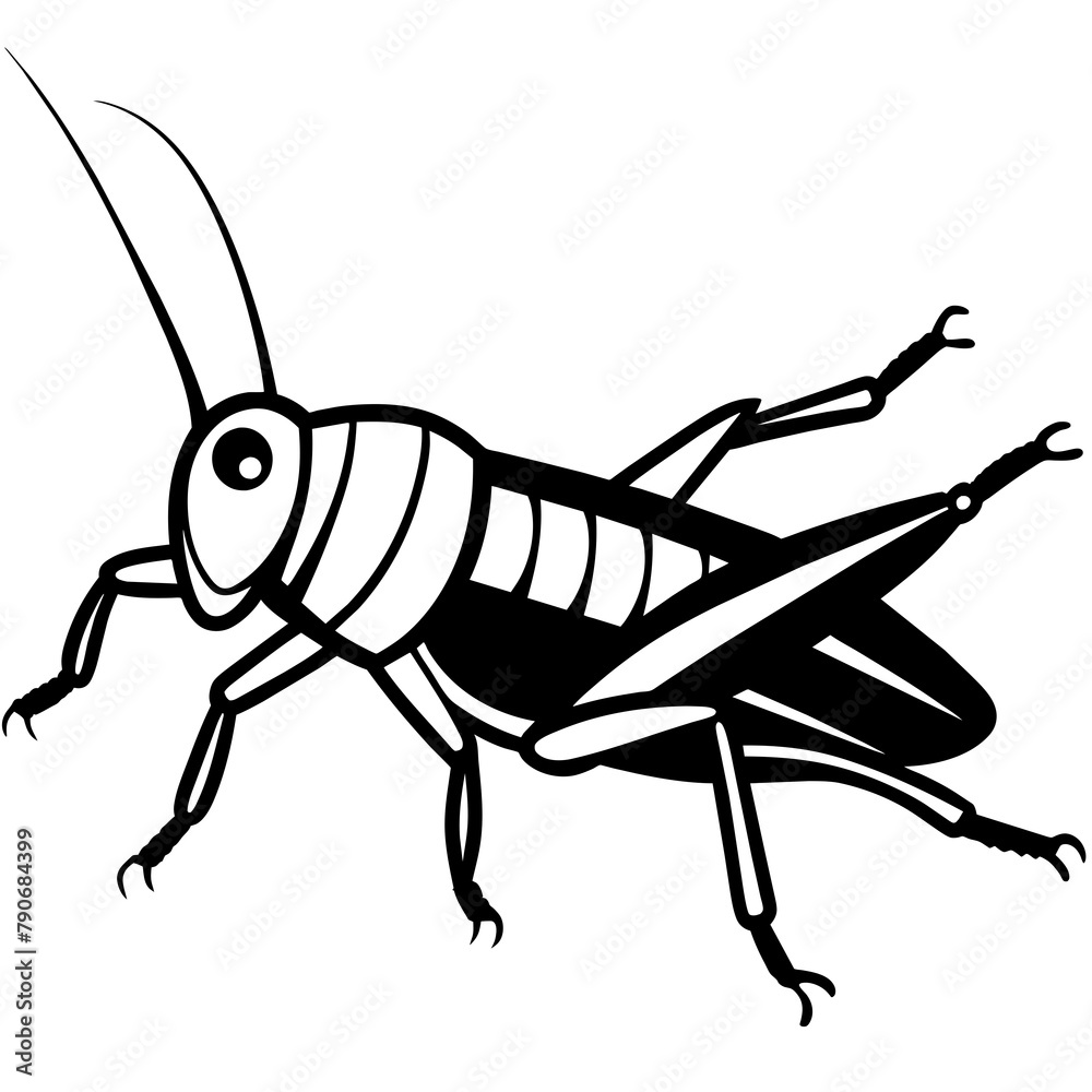 grasshopper isolated on white background grasshopper isolated on white background