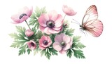 Watercolor illustration of soft pink Anemone flowers with Butterfly