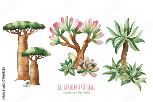 Watercolor compositions with succulents,cactus,dragon trees,baobabs and stones. Tropical collection.Perfect for your project, wedding, invitations, wallpapers, prints, textile etc