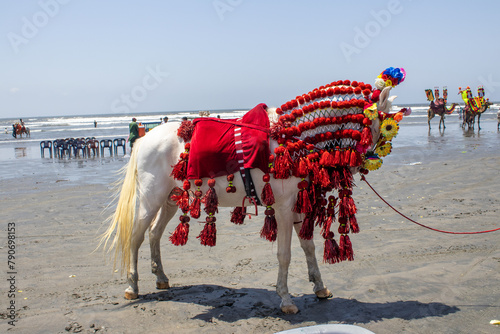 horses on the beach