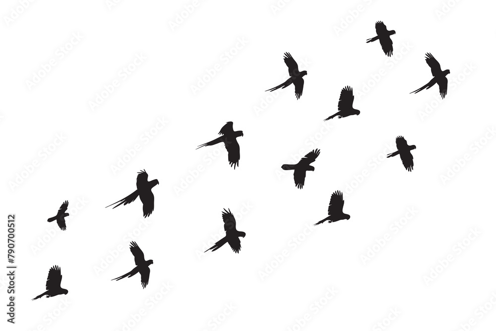 Flock of parrot silhouette set vector icon. Flock of birds flying