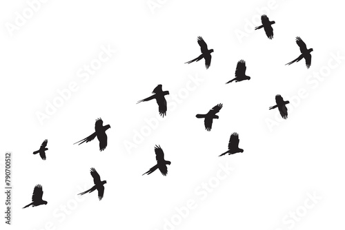 Flock of parrot silhouette set vector icon. Flock of birds flying