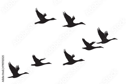 Set of silhouettes of flying geese. Birds flock with V formation. Geese migrating season