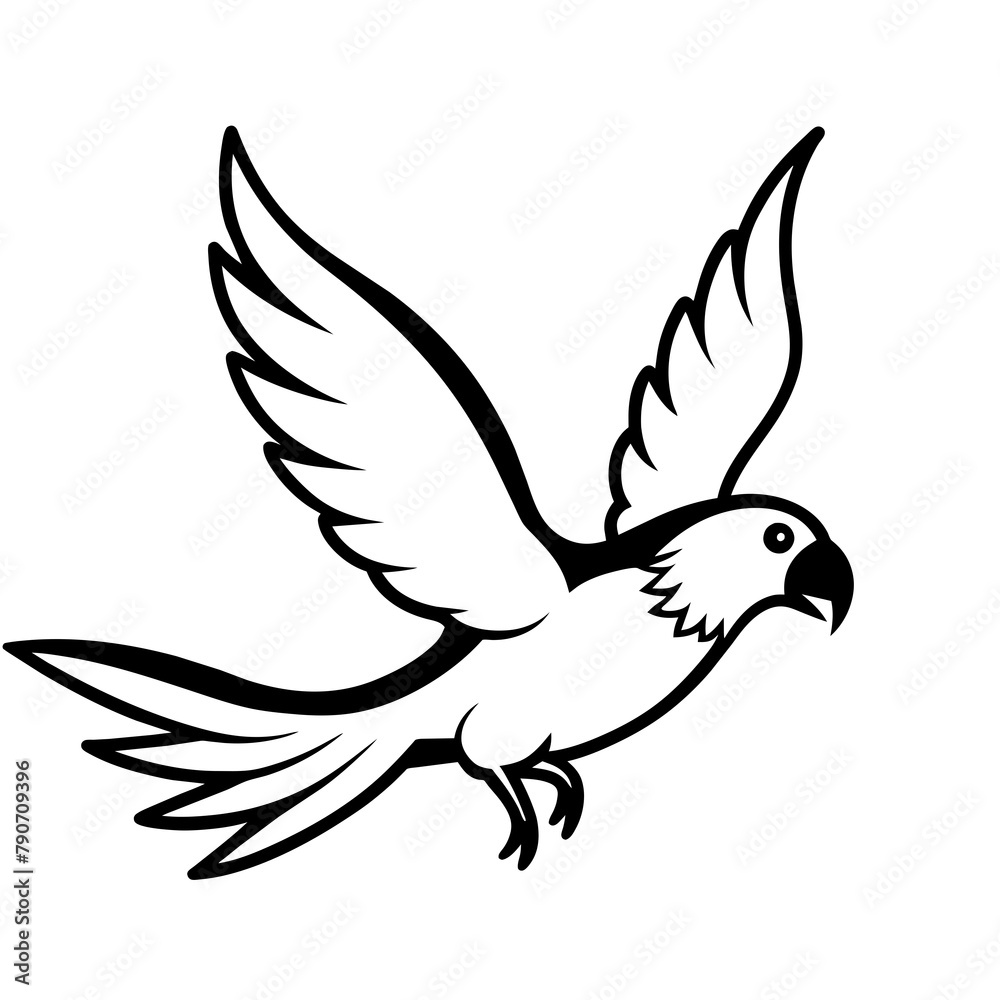 Obraz premium Parrot-bird-fly-on-white-silhouette-vector