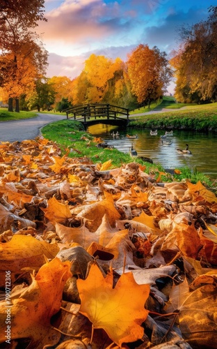 autumn park with orange and yellow foliage