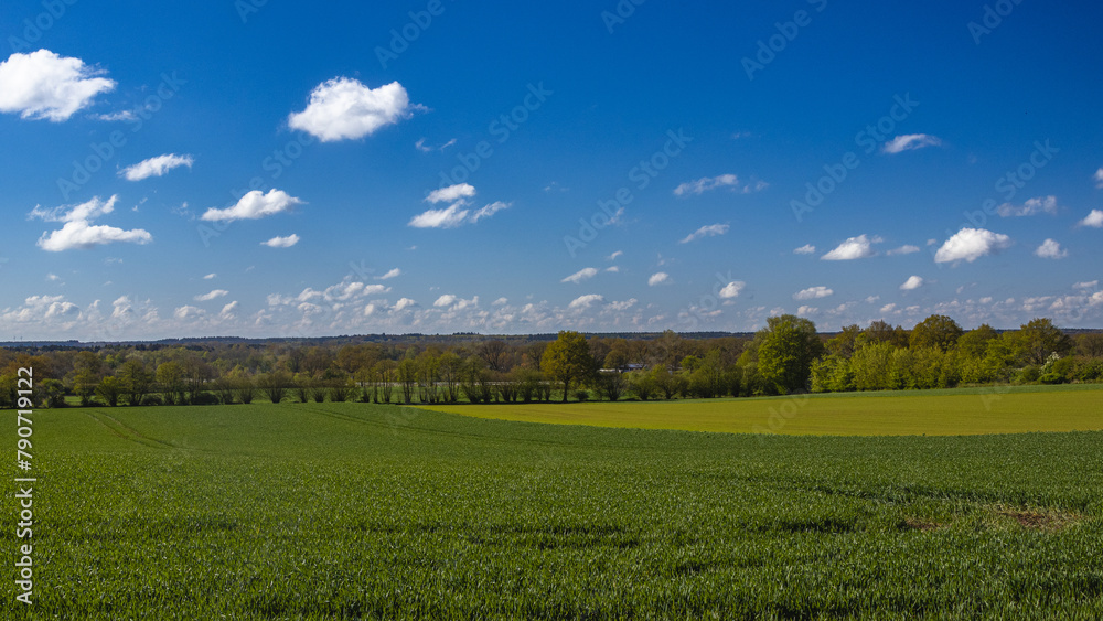 Clouds and blue sky over the field