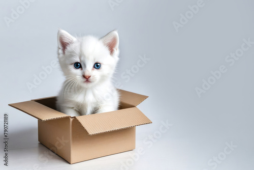 Boxes for moving in apartmentand cat. Illustration on white background.