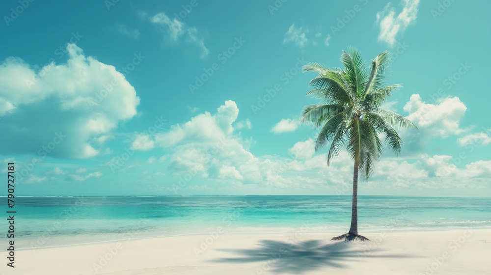 Serene Tropical Beach with a Lone Palm Tree and Azure Waters