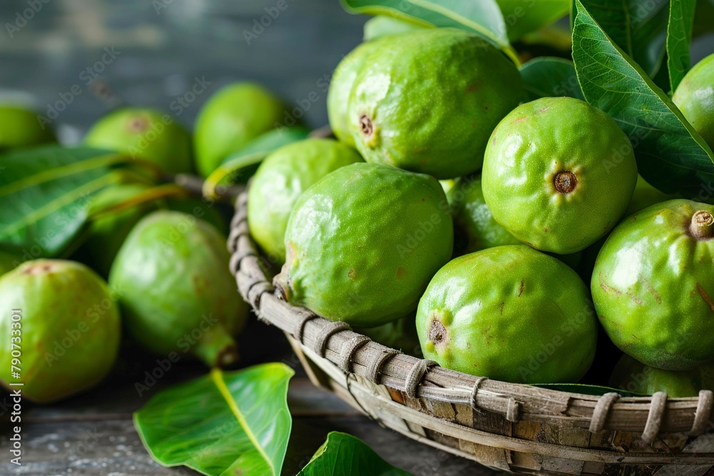 Abundant Guavas Hanging From Tree Abundant Guavas Hanging From Tree