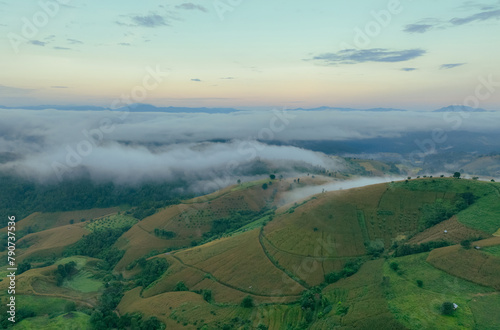 Beautiful green mountain landscape with morning sunrise sky and fog. Aerial view of green trees and corn field on the mountain forests and fog in winter. Nature scene. Green environment background.