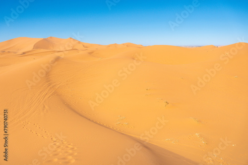 Merzouga  Morocco  Stunning sand dunes in the desert