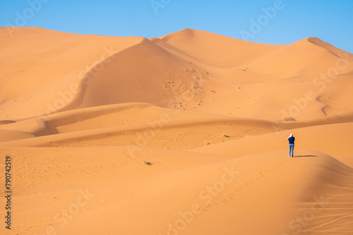 Merzouga  Morocco  Stunning sand dunes in the desert