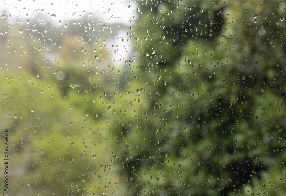 raindrops on the window raindrops on the window