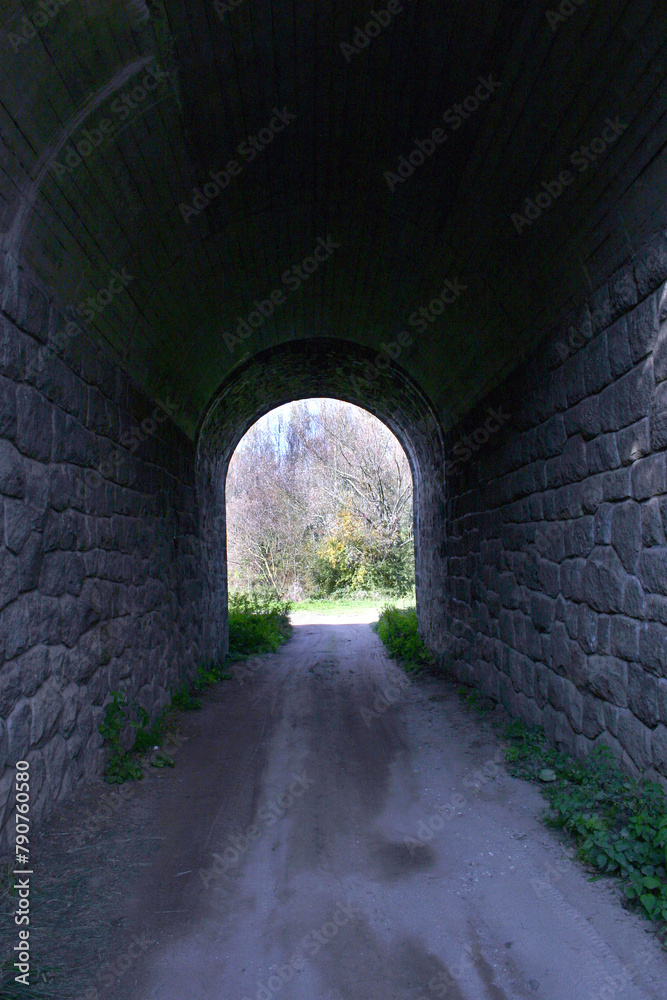 Obraz premium tunnel in the park
