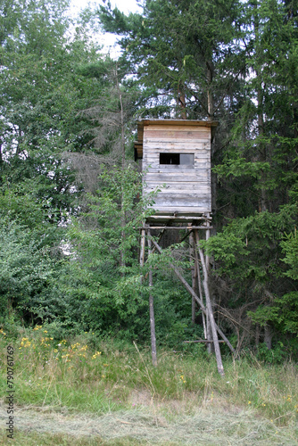 wooden house