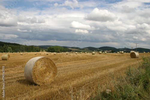 bales in the field