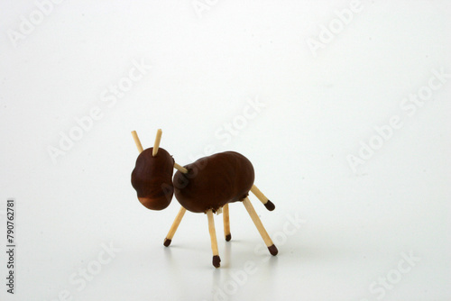 chestnut animals