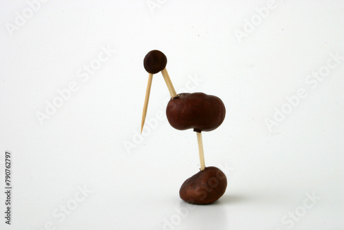 chestnut animals