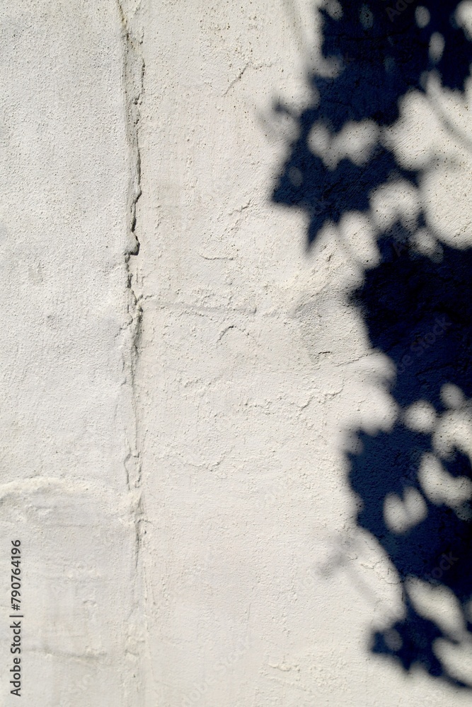 grayish white wall of coated chuff bricks with a sanded texture with