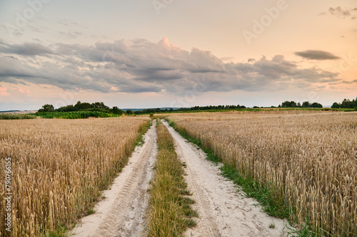 Road leading towards the clouds between fields of ripe wheat before harvest in the countryside © barytek