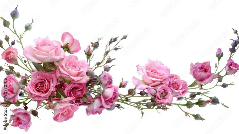 Pink roses